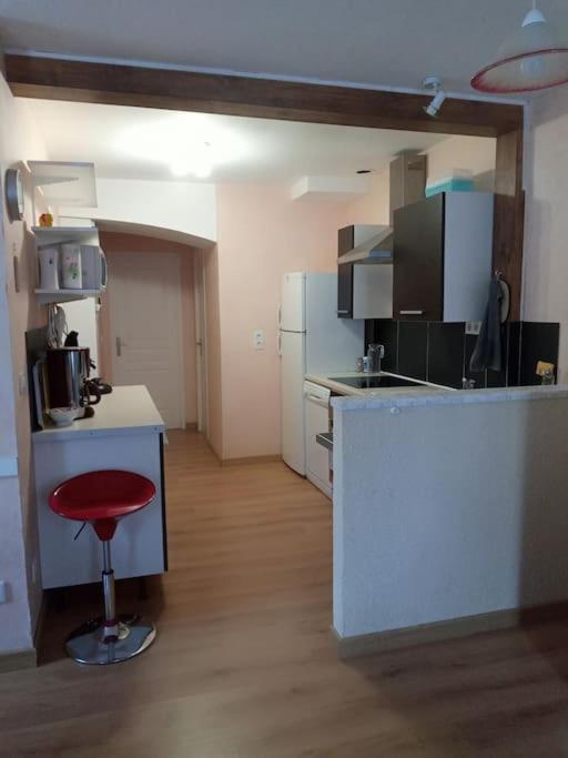 Residence Gascogne, Appartement Rose Boreal Eaux-Bonnes Exteriör bild